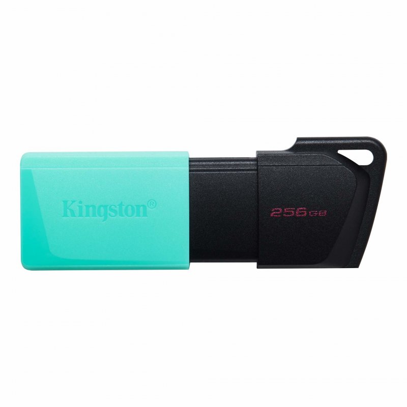 256GB  KINGSTON MOD. DATATRAVELER EXODIA M USB 3.2